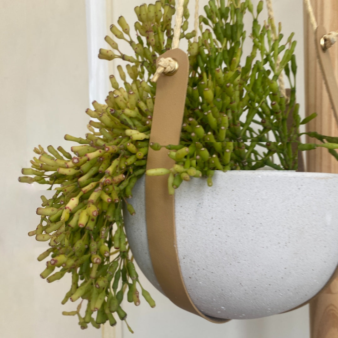 Leather hanging pot holder - Le Botanist