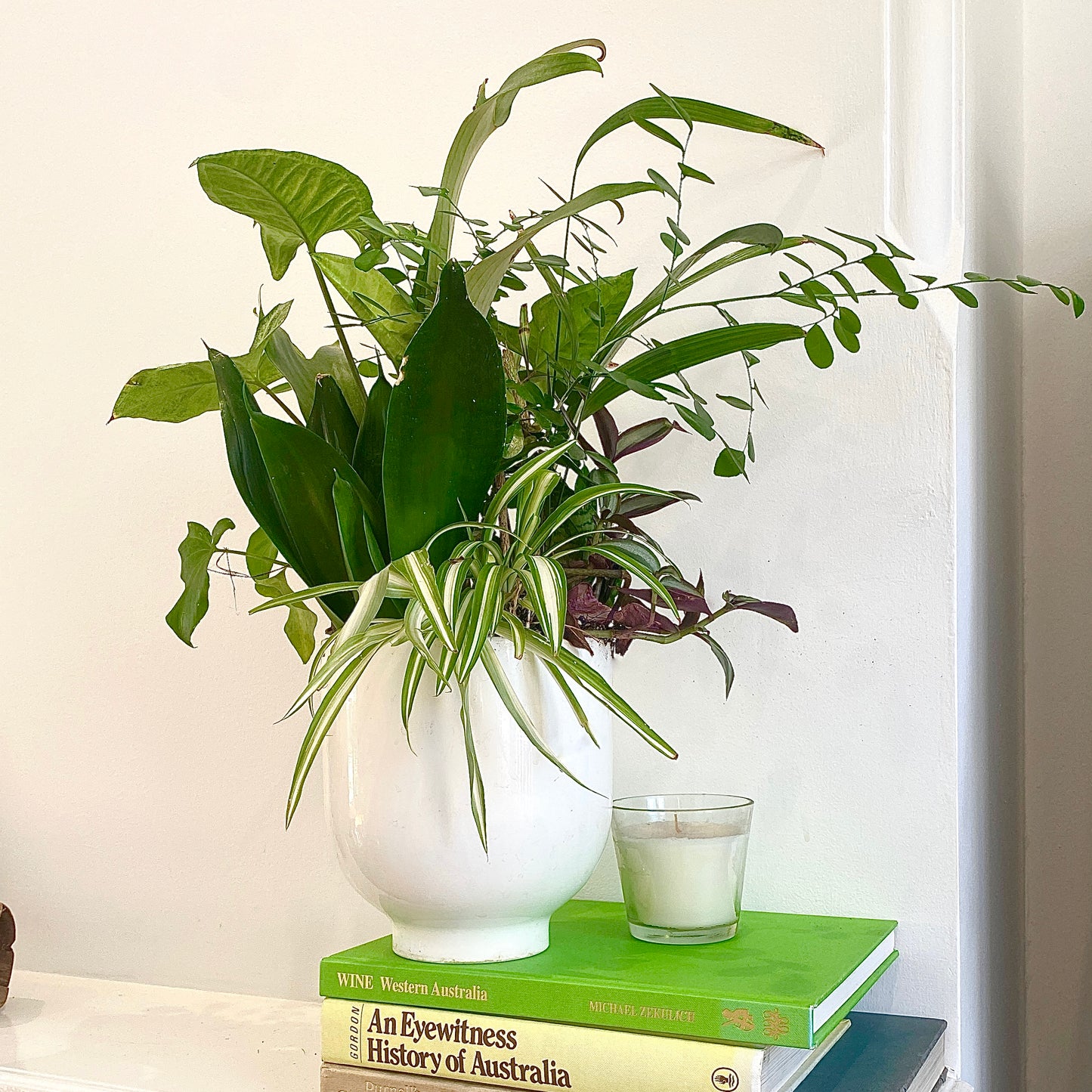 The Cluster - Indoor Greenery Arrangement - Le Botanist
