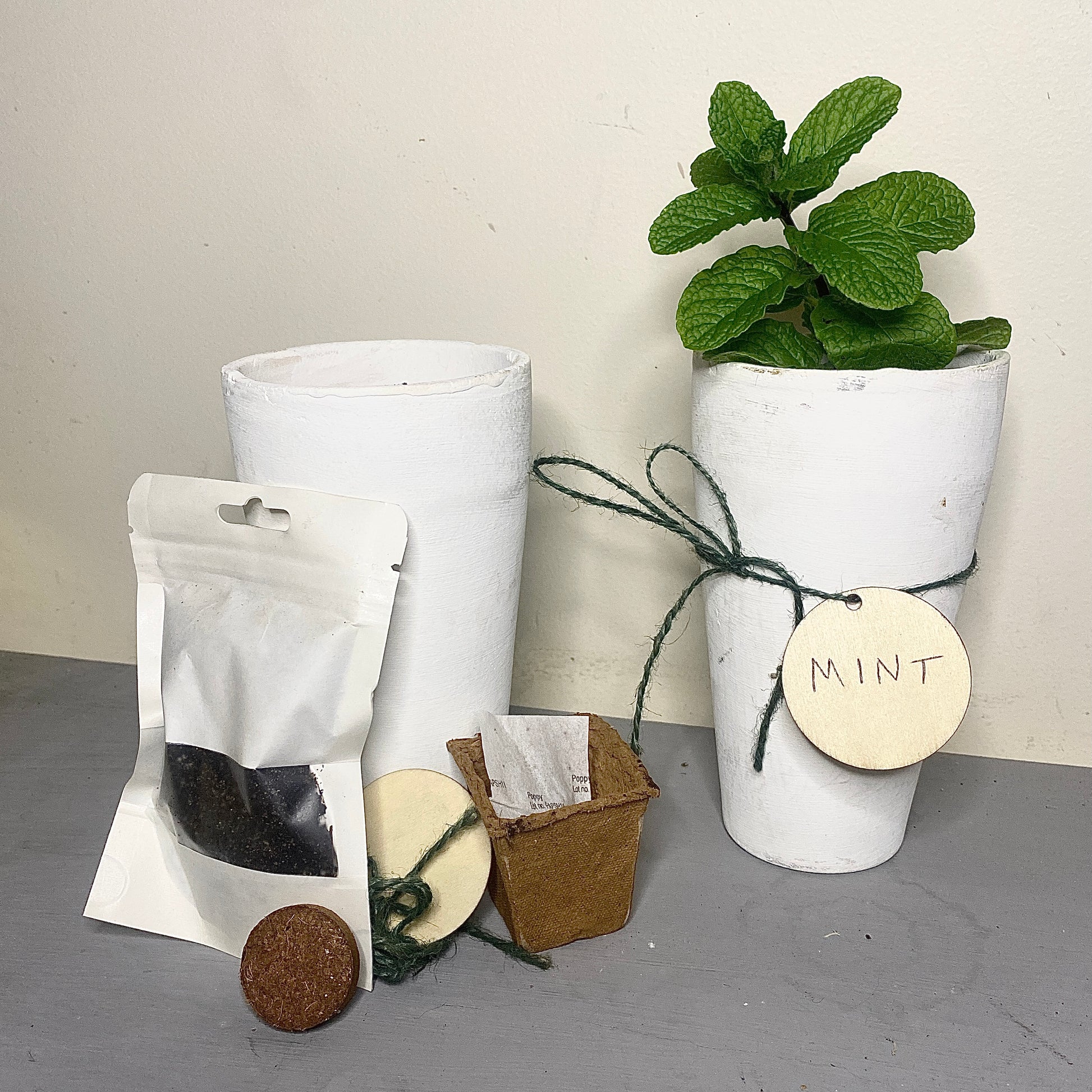 Grow Your Own Greenery - Gift Pack - Le Botanist